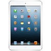 Apple iPad mini 16Gb Wi-Fi + Cellular белый - Озёры